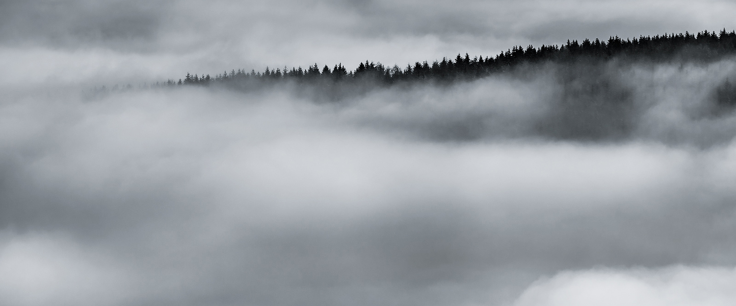  Massif forestier dans une mer de nuages, en Auvergne - Photo panoramique d'une forêt dans une mer de nuages, Brok photographie