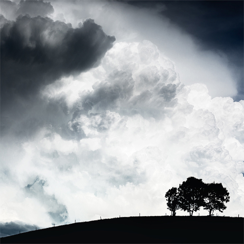 Photo d'un groupe d'arbre solitaire avec de nuages, par Brok