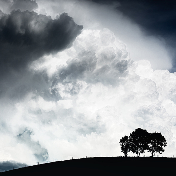 Photo de 3 arbres solitaires face à un ciel orageux, Brok photographie