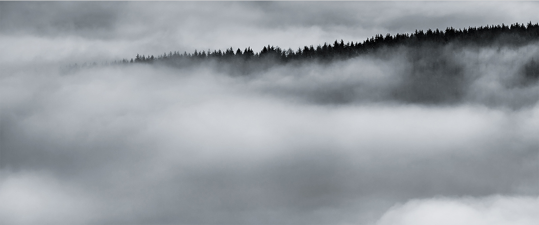 Photo parnoramique d'une mer de nuages avec des arbres, Brok photo